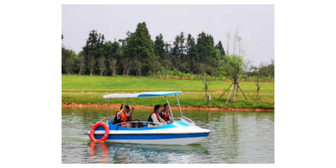 宜春学校团建 江西桃兴文化旅游专业供应与咨询